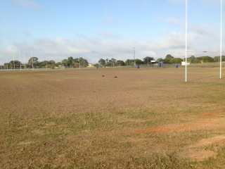 BOBCAT HIRE BURPENGARY